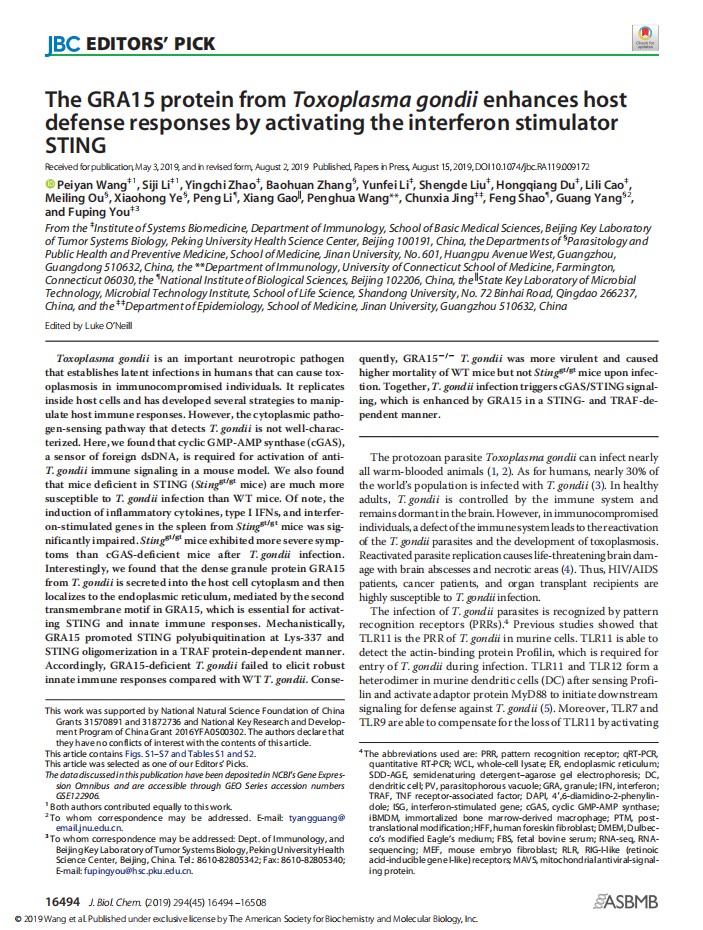 08-2019.8.2-The GRA15 protein ....-J Biol Chem-首页.jpg
