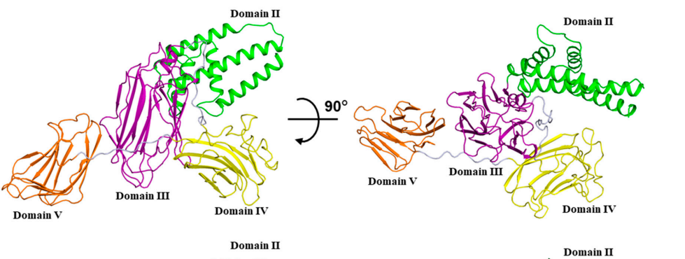Toxins 2020插图.jpg